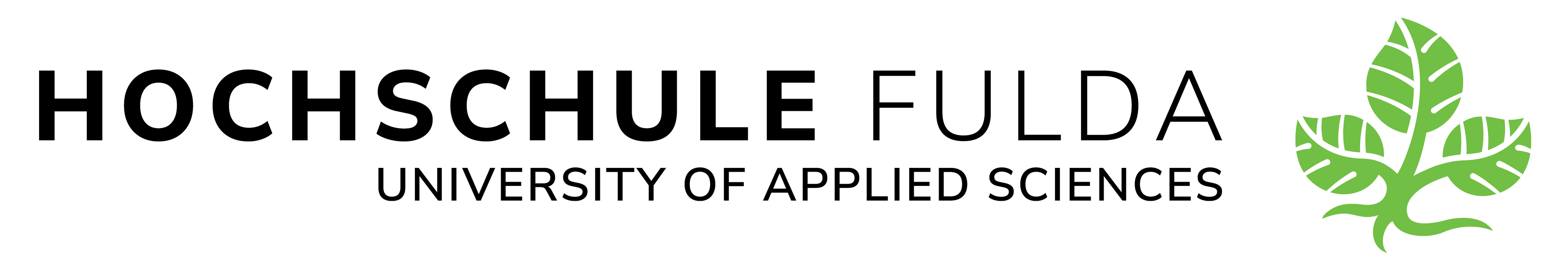 Hochschule Fulda